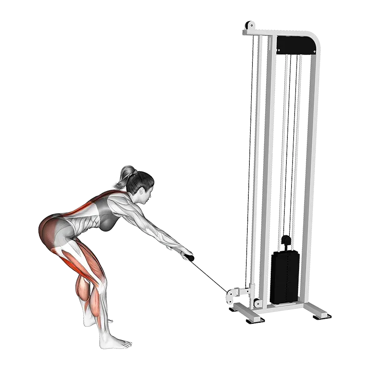 Cable Romanian Deadlift exercise animation (Female)