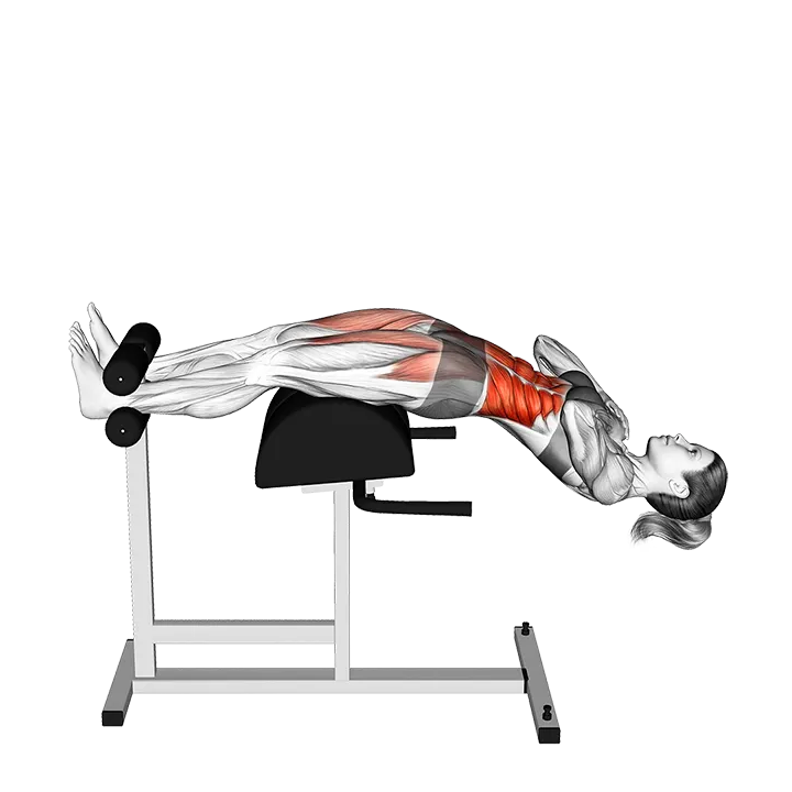 Glute Ham Sit-up exercise animation (Female)