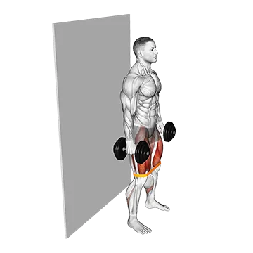 Dumbbell Banded Wall Sit