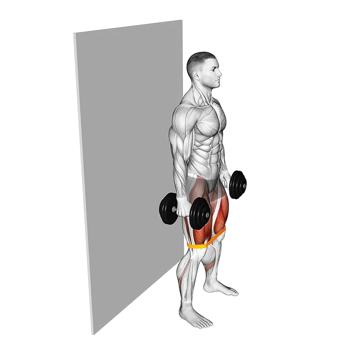 Dumbbell Banded Wall Sit exercise animation (Male)