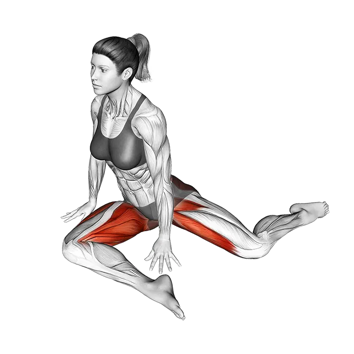 90 to 90 Stretch exercise animation (Female)