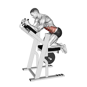 Lever Ab Swing