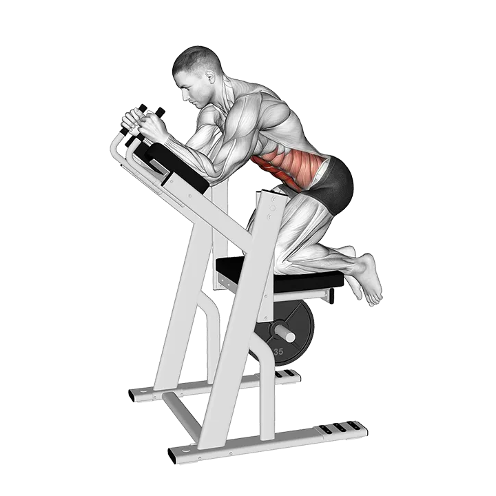 Lever Ab Swing exercise animation (Male)