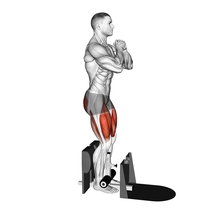 Bodyweight Supported Squat exercise animation (Male)