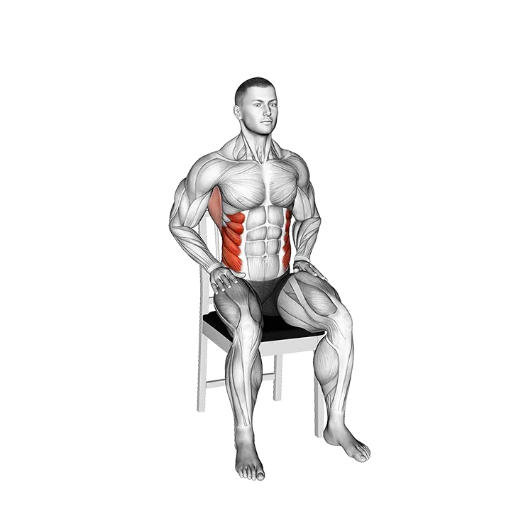 Diagonal Reach on Chair exercise animation (Male)