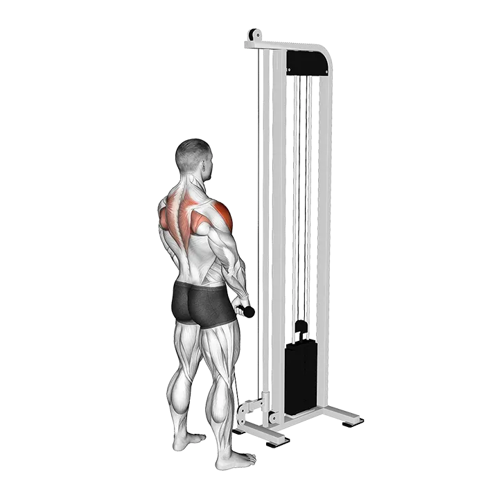 Cable High Pull with Rope Attachment exercise animation (Male)