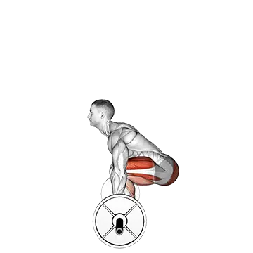 Barbell Deadlift (side POV)