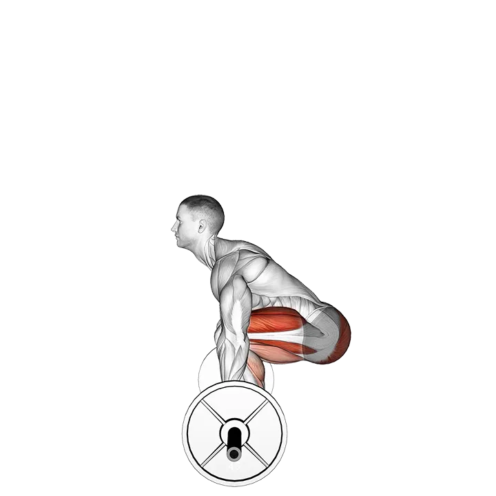 Barbell Deadlift (side POV) exercise animation (Male)