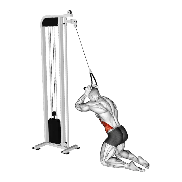 Cable Kneeling Side Crunch exercise animation (Male)