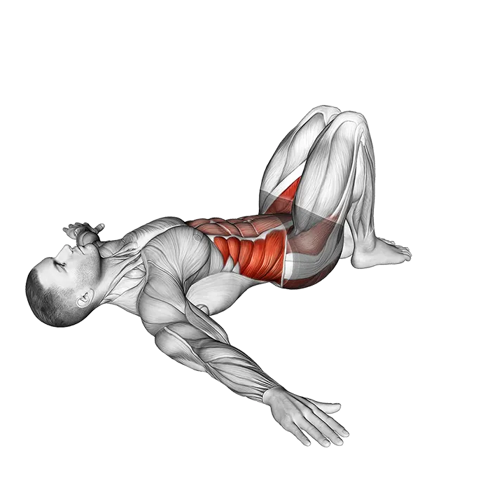 Supine Windshield Wipers exercise animation (Male)