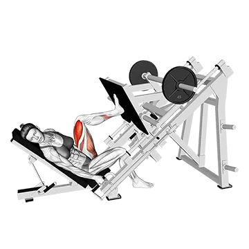 Sled Angled Single Leg Press