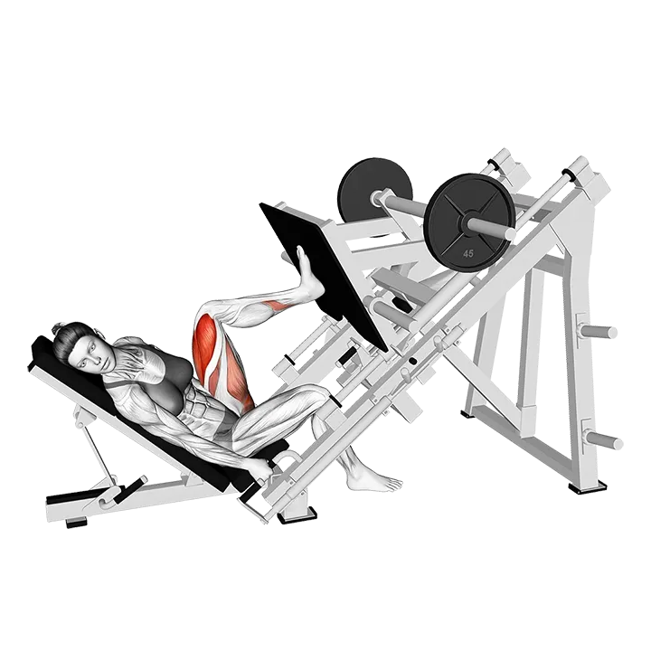 Sled Angled Single Leg Press exercise animation (Female)