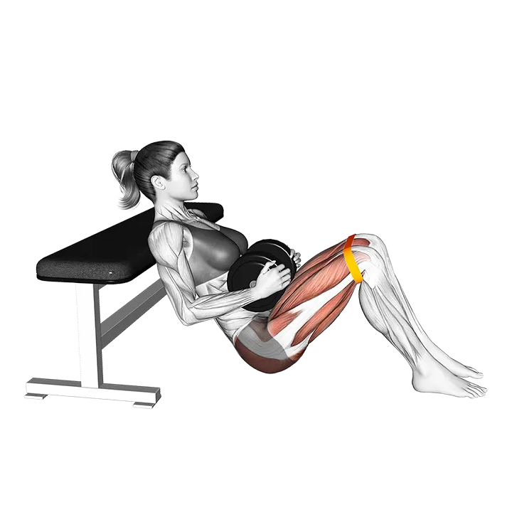 Dumbbell Banded Hip Thrust exercise animation (Female)