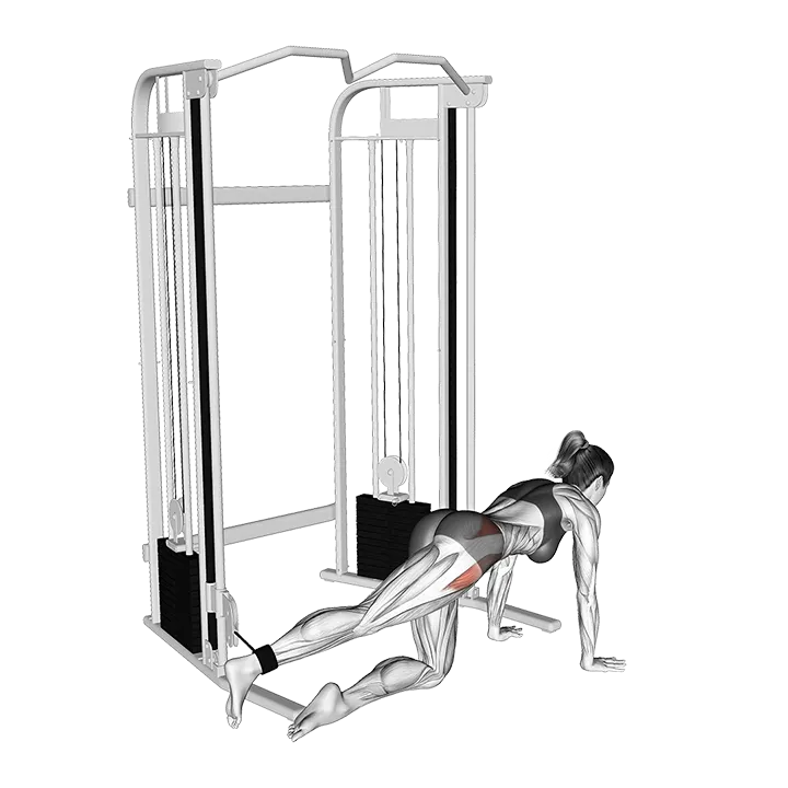 Cable Kneeling Hip Abduction exercise animation (Female)