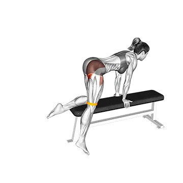Resistance Band Kneeling Leg Half Circle on bench