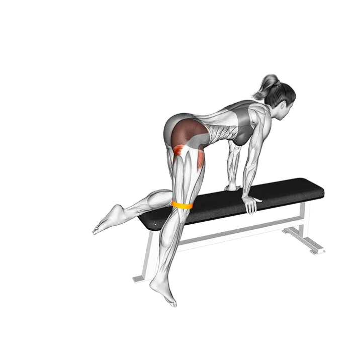 Resistance Band Kneeling Leg Half Circle on bench exercise animation (Female)