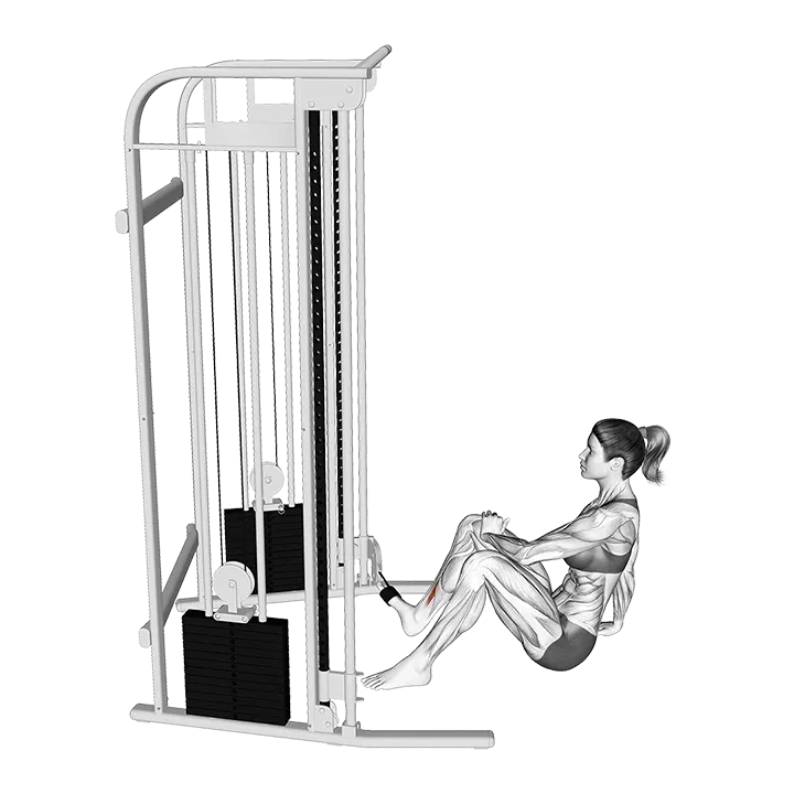 Cable Seated Foot Inversion exercise animation (Female)
