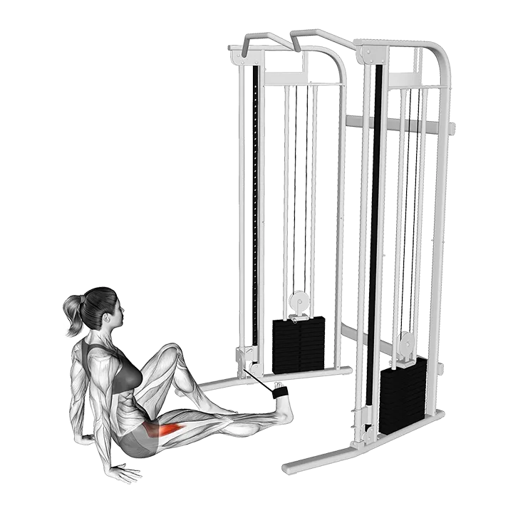 Seated Hip External Rotation exercise animation (Female)