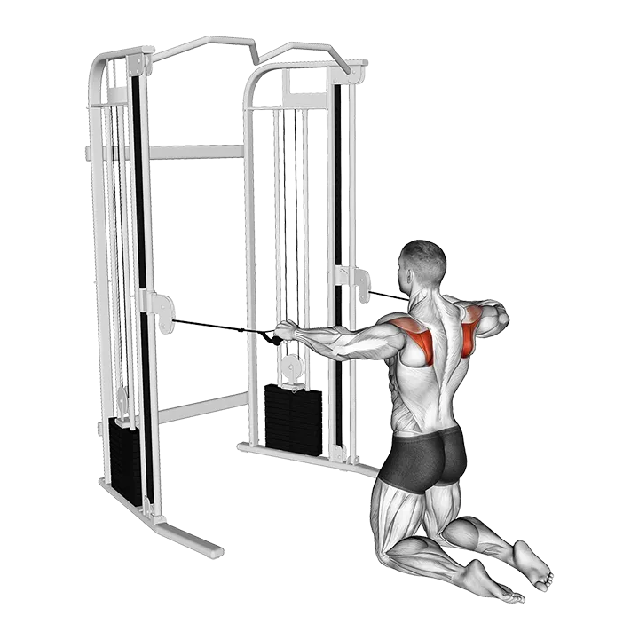 Cable Kneeling Shoulder External Rotation exercise animation (Male)