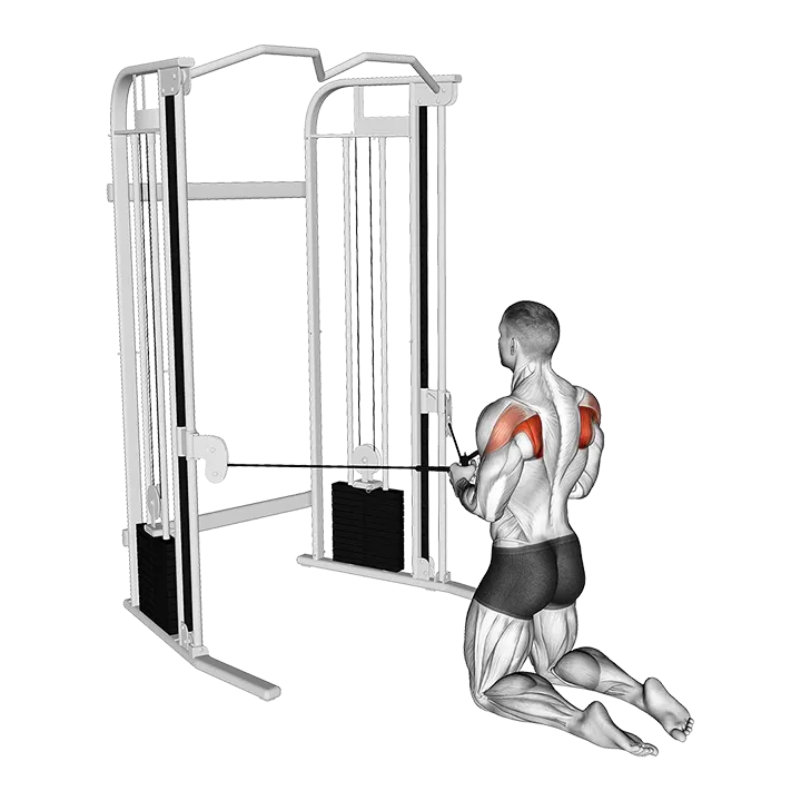 Cable Kneeling Shoulder External Rotation exercise animation (Male)