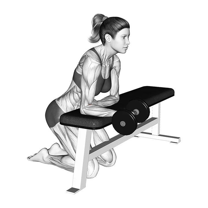 Dumbbell Over the Bench Supination exercise animation (Male)