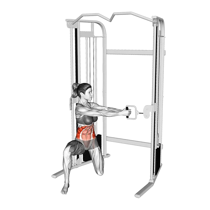 Cable Kneeling Twist exercise animation (Female)