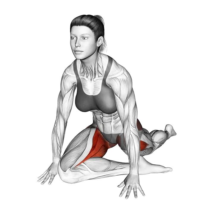 Half Pigeon Hip Stretch exercise animation (Female)