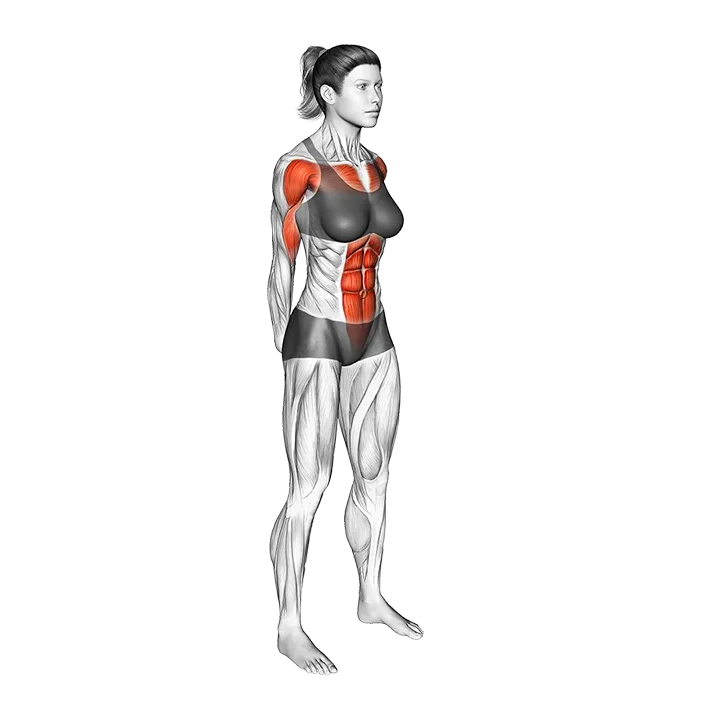 Forward Bend Back Stretch exercise animation (Female)