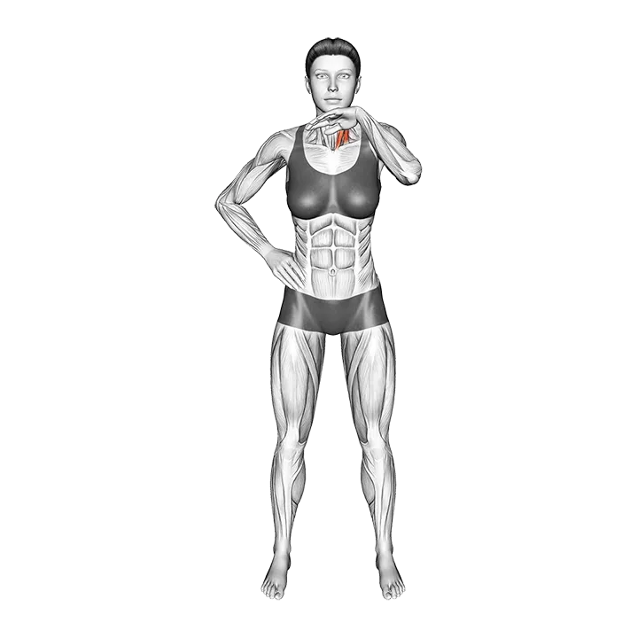 Neck Stretch with Hand Assisted exercise animation (Female)