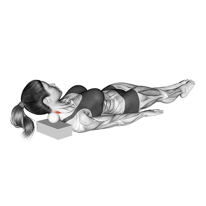 Roll Ball Lying Semisplinalis Capitis Muscle Activation exercise animation (Weiblich)