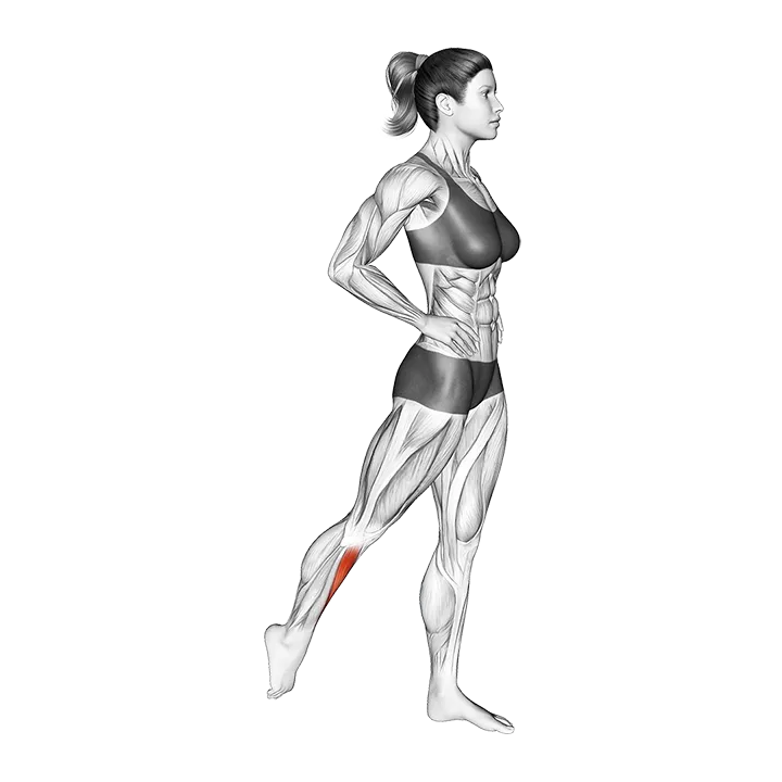 Standing Tibialis Anterior Stretch exercise animation (Female)