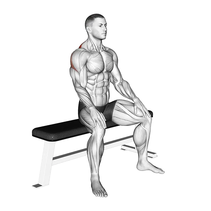 Seated Rhomboid Stretch exercise animation (Male)