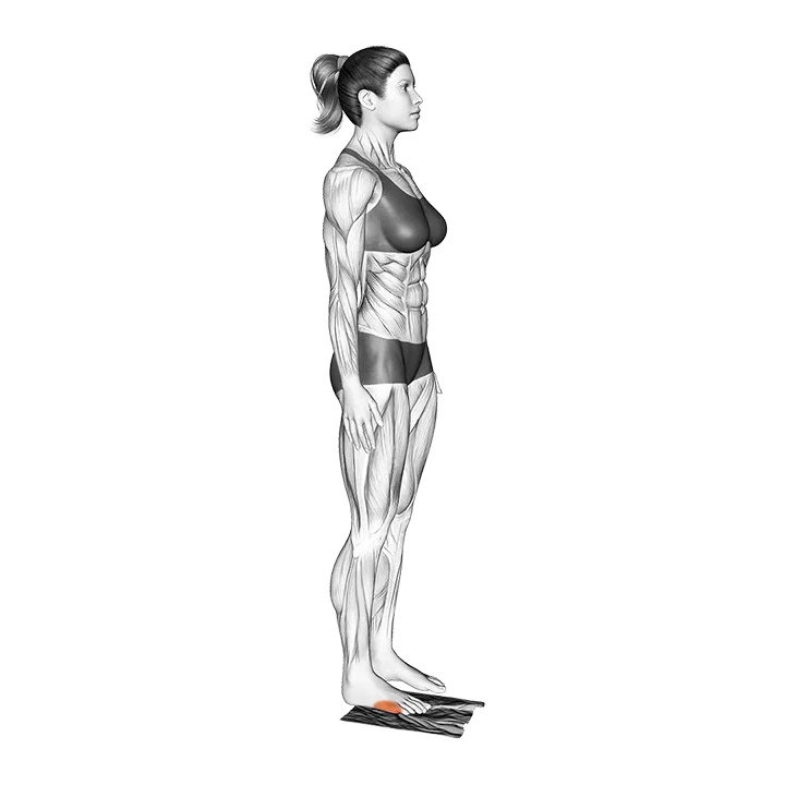 Standing Foot Muscles Activation exercise animation (Female)