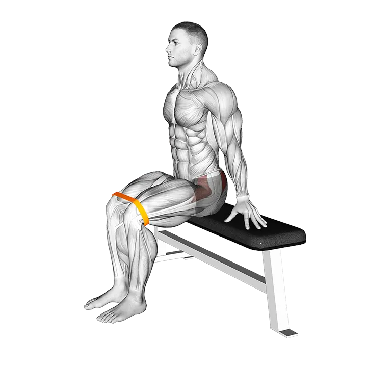 Resistance Band Seated Hip Abduction (VERSION 2) exercise animation (Male)