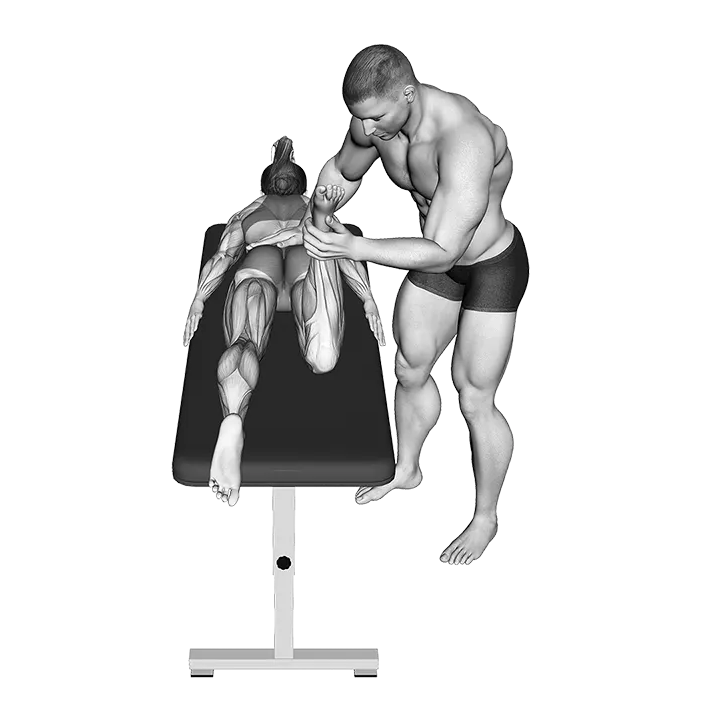 Hip External Rotation Test exercise animation (Female)