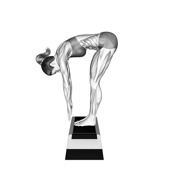 Posterior Chain Flexibility Test exercise animation (Female)