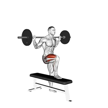Barbell Bench Lateral Step-up