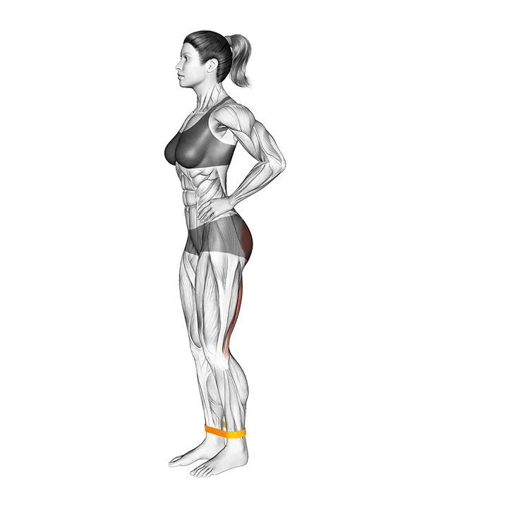 Resistance Band Standing Balance Glute Kickback exercise animation (Female)