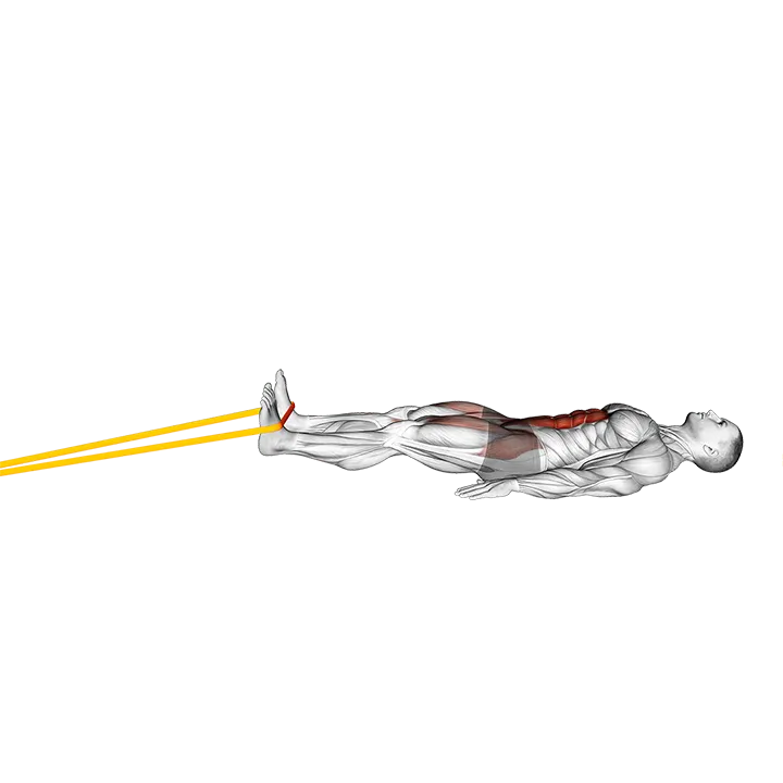 Resistance Band Lying Bent Knee Raise exercise animation (Male)
