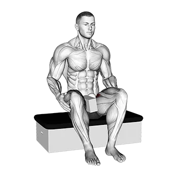 Roll Ball Seated Pectineus Activation