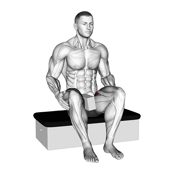 Roll Ball Seated Pectineus Activation exercise animation (Male)