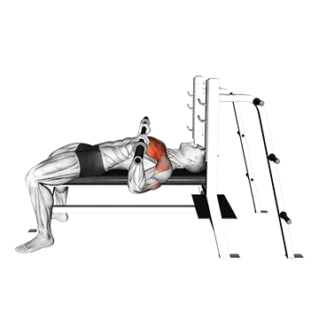 Barbell Bench Press (side POV)