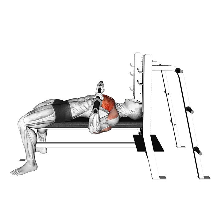 Barbell Bench Press (side POV) exercise animation (Male)
