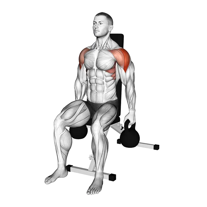 Kettlebell Seated Lateral Raise exercise animation (Male)