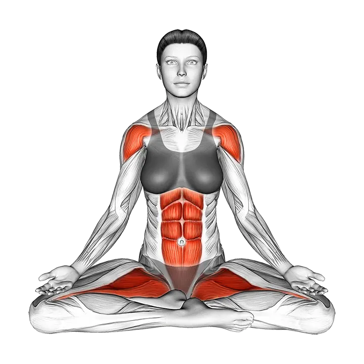 Sitting Yoga Pose Siddhasana exercise animation (Female)