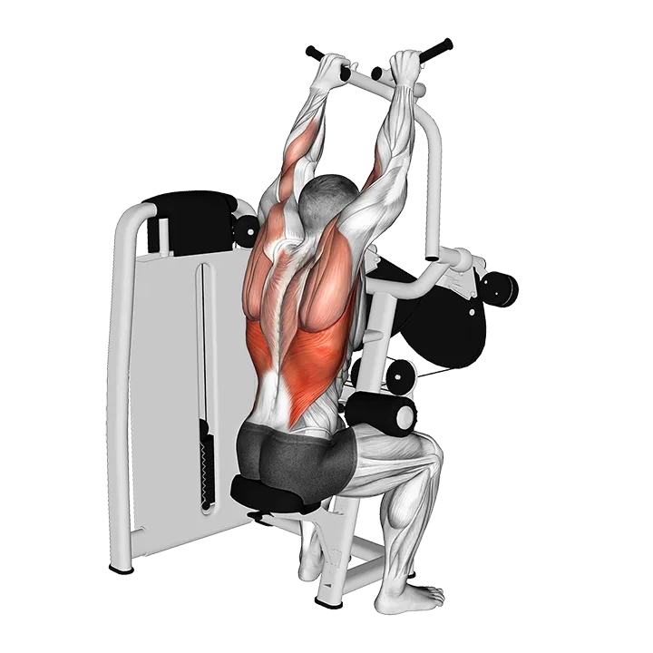 Lever Cross Lat Pulldown exercise animation (Male)