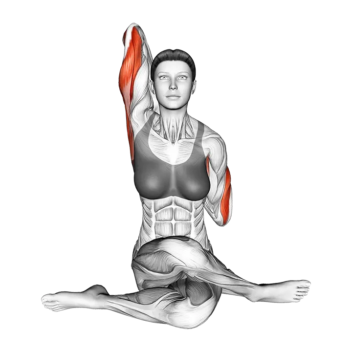 Cow Face Yoga Pose Gomukhasana exercise animation (Female)