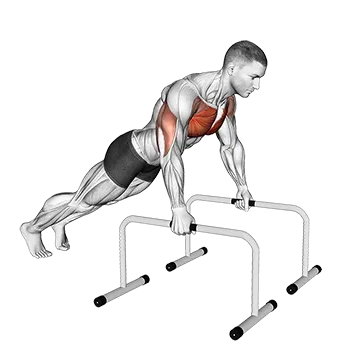 Deep Push-up on Parallel Bars