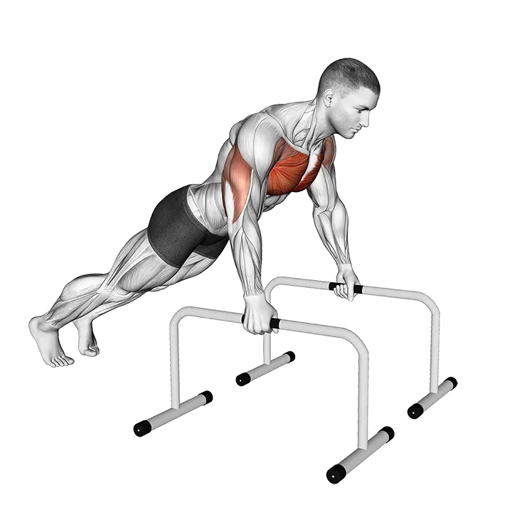 Deep Push-up on Parallel Bars exercise animation (Male)