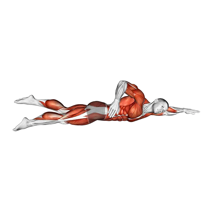 Swimming Crawl Style exercise animation (Male)